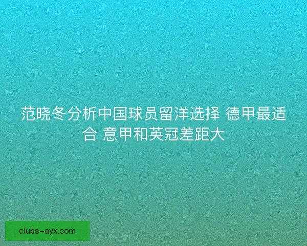 范晓冬分析中国球员留洋选择 德甲最适合 意甲和英冠差距大