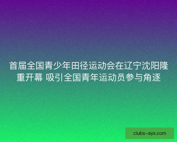 首届全国青少年田径运动会在辽宁沈阳隆重开幕 吸引全国青年运动员参与角逐
