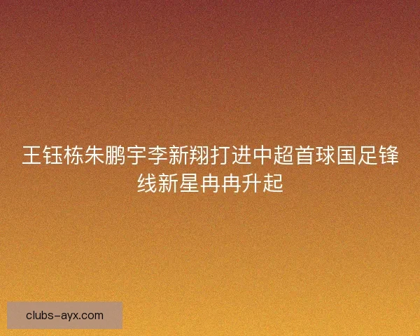 王钰栋朱鹏宇李新翔打进中超首球国足锋线新星冉冉升起